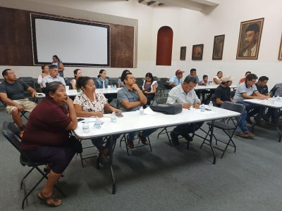 Avanza SEDARPE con mesas de trabajo para fortalecer la apicultura en Quintana Roo