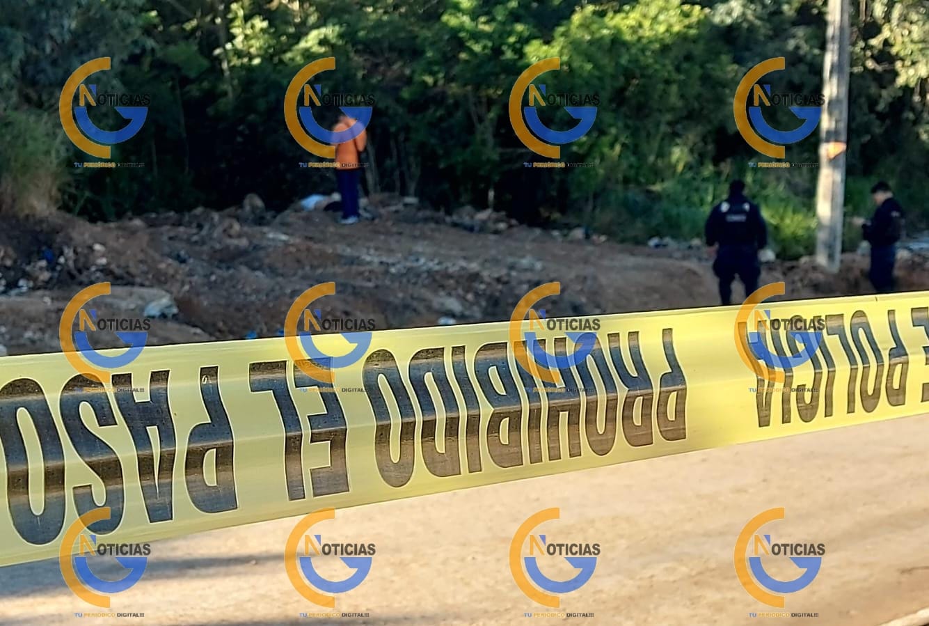Encuentran el cuerpo de un hombre en un lote baldío, pereció de manera violenta frente a villas otoch paraiso