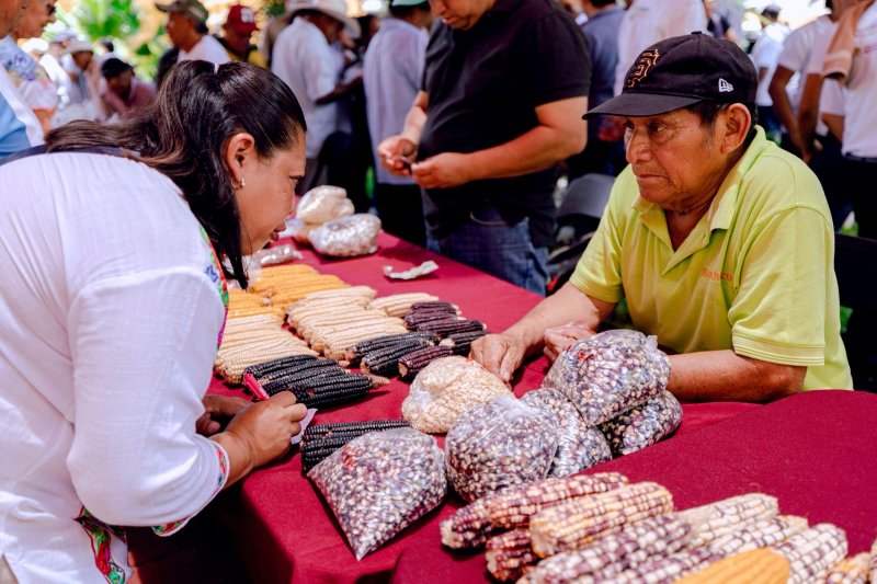Gobierno del Estado impulsa conservación de saberes mayas