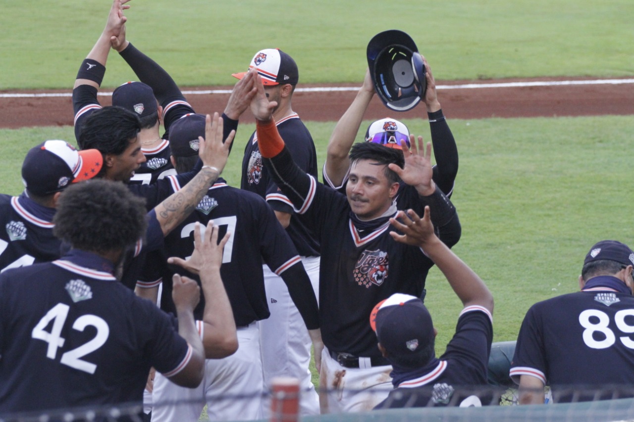 Tigres vuelve a ganar en domingo beisbolero