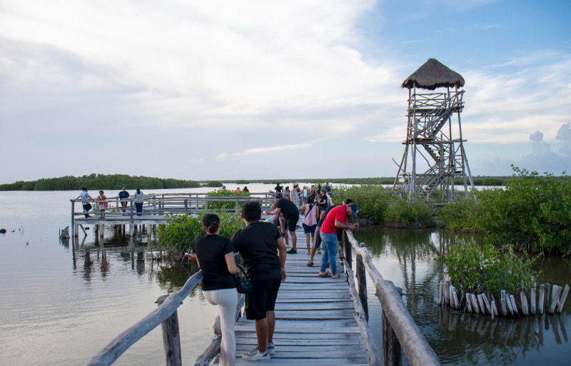Viven familias una experiencia única de contacto con la naturaleza en Punta Sur