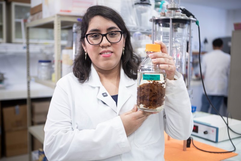Yucatán será sede del Foro de Innovación Tecnológica Aplicada al Sargazo