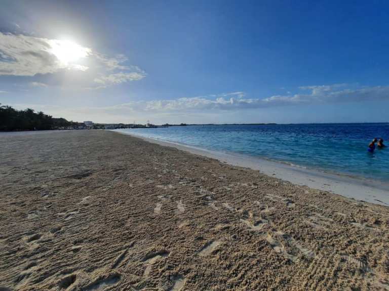 Zofemat lista para la temporada de sargazo en Isla Mujeres