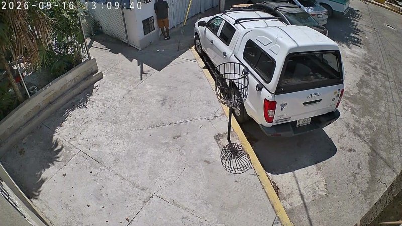 Cancún. - Una hábil rata fue captada a plena luz del día apoderándose de una escalera que estaba en