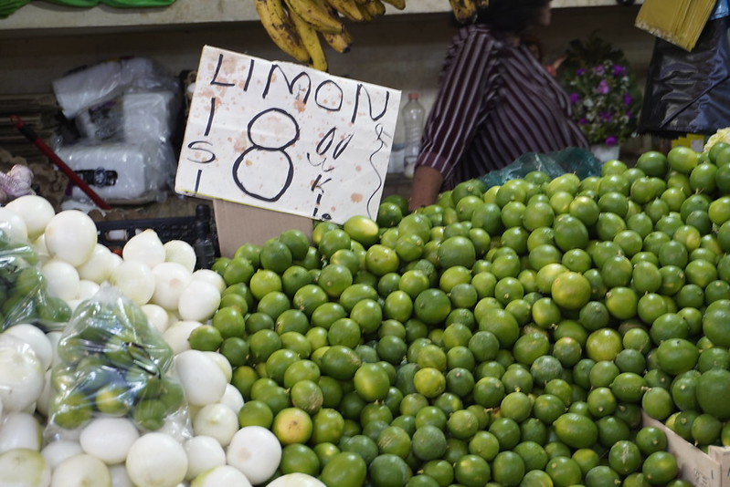 El modelo propuesto busca conjuntar comercio, servicios y abasto alimentario a bajo costo en un