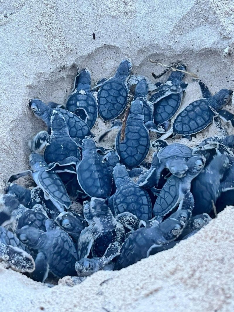 Foto 7