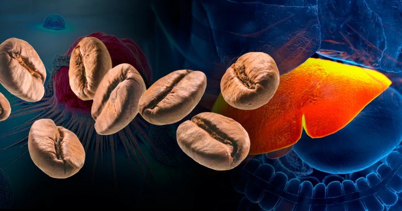 Las investigaciones han identificado que este hábito se asocia con menor riesgo de desarrollar