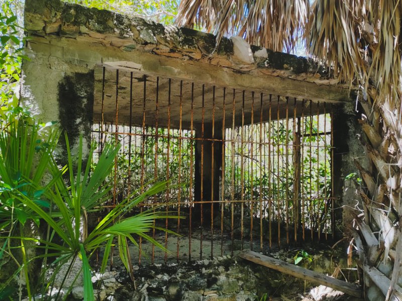 Profepa visita Cancún tras hallazgo de jaulas para felinos