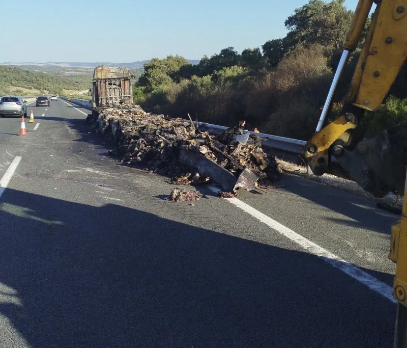 Quien bajaba por la A-381 en dirección a Jerez de la Frontera (Cádiz) este último mes no necesitaba