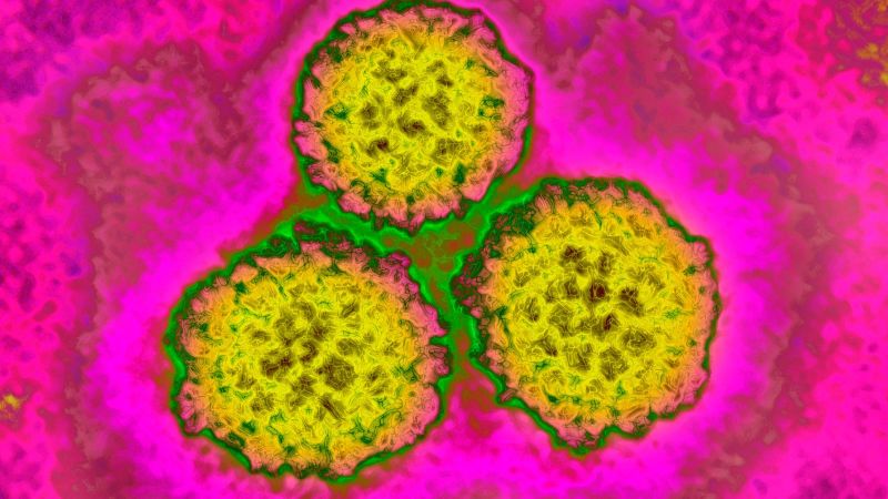 1 de cada 8 cánceres mundiales vinculados a infecciones prevenibles