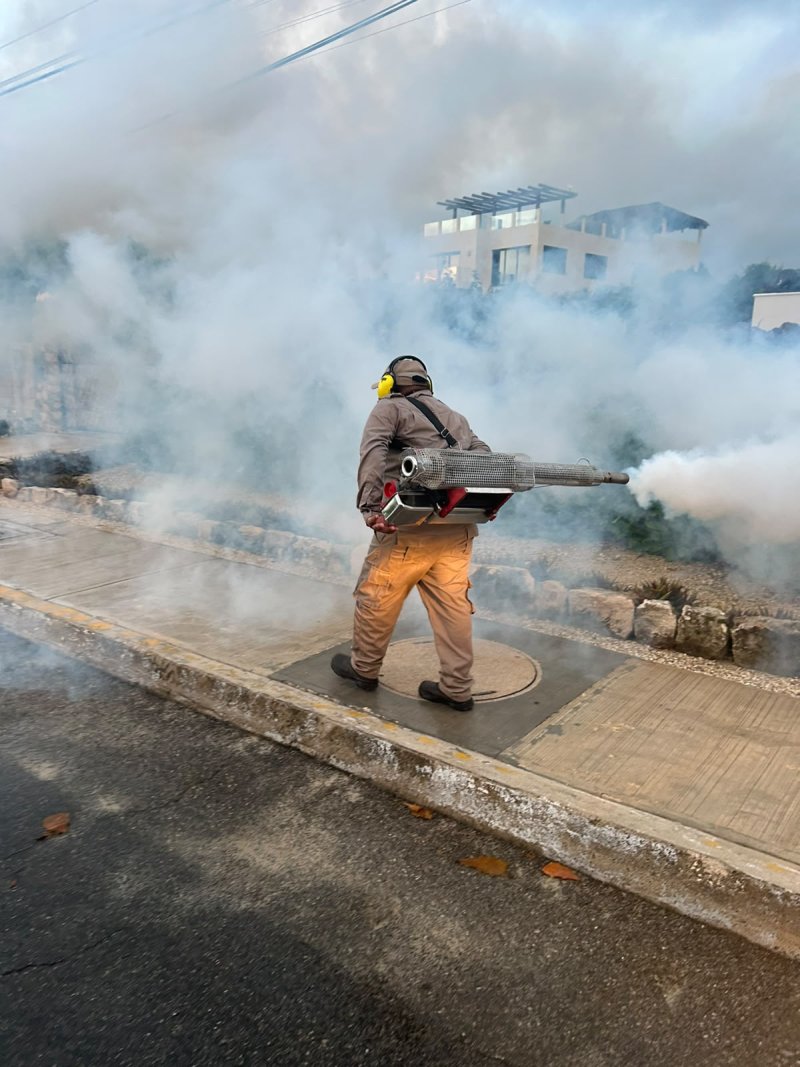 Gobierno de Isla Mujeres refuerza jornadas de nebulización para prevenir el dengue