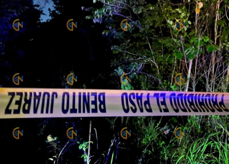 Hallan osamenta en zona verde de Cancún tras búsqueda de menores