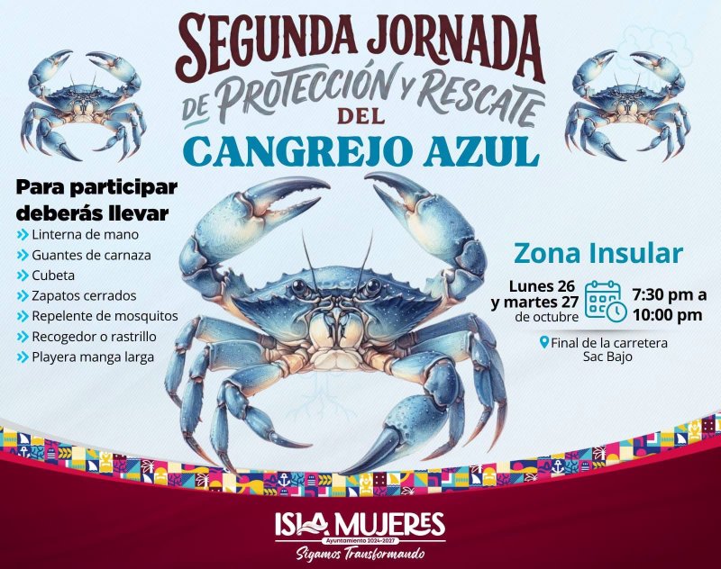 Invita Gobierno de Isla Mujeres a segunda jornada de protección del cangrejo azul