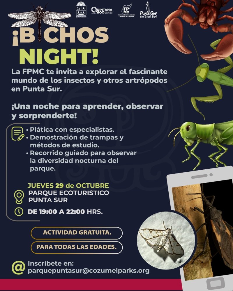 Invita la FPMC a explorar la vida nocturna de Punta Sur en el evento “Bichos Night”