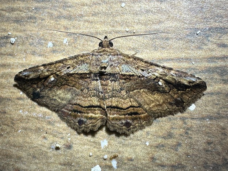 Foto 6
