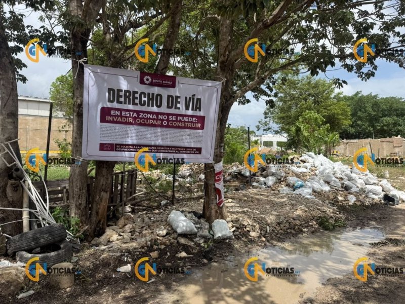 Operativo municipal despeja asentamiento irregular en Cancún