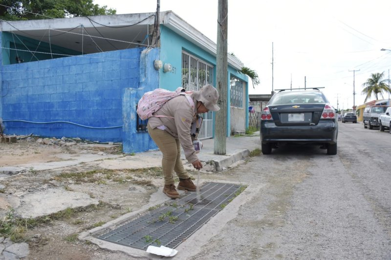 Yucatán garantiza gastos de camino a 502 trabajadores del área de Vectores